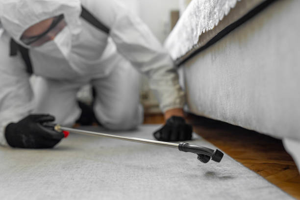 Professional Termite Control technician working in Roscoe, TX