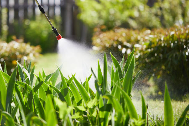 24/7 Emergency Termite Control experts in Roscoe, TX
